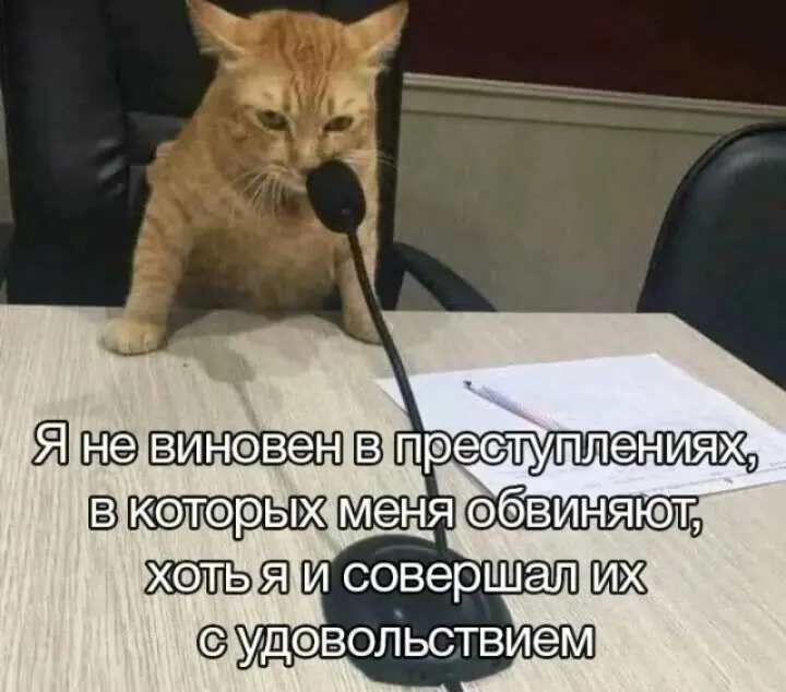 А судьи кто? | Сетка — социальная сеть от hh.ru