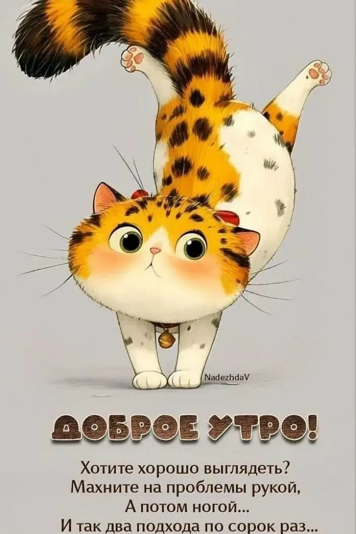 ✏️ Водоснабжение и канализация: Пост с котиками
https://vk.com/video-173795199456239371
https://vk.com/video-173795199456239372
https://vk.com/video-173795199456239373
https://vk | Сетка — социальная сеть от hh.ru