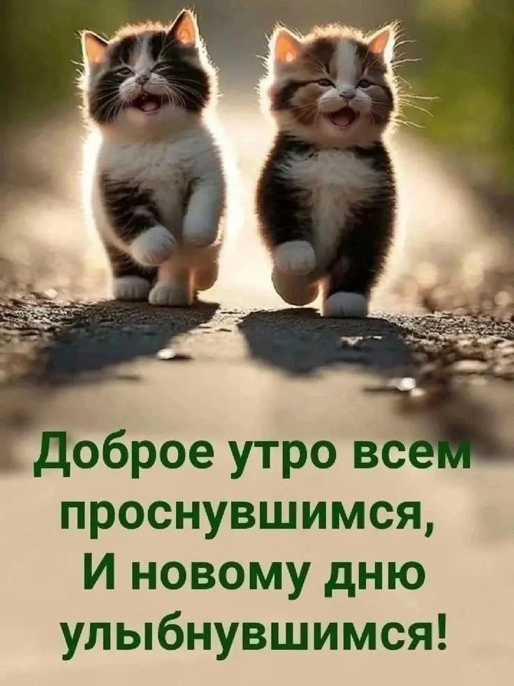 ✏️ Водоснабжение и канализация: Пост с котиками
https://vk.com/video-173795199456239371
https://vk.com/video-173795199456239372
https://vk.com/video-173795199456239373
https://vk | Сетка — социальная сеть от hh.ru