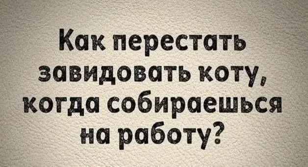 Моральная дилемма 😂
от любимого клиента Вали ❤️
БЛОГ В ТГ / БЛОГ В MAX
#Юмор #Коты
В этом посте были ссылки, но мы их удалили по правилам Сетки | Сетка — социальная сеть от hh.ru