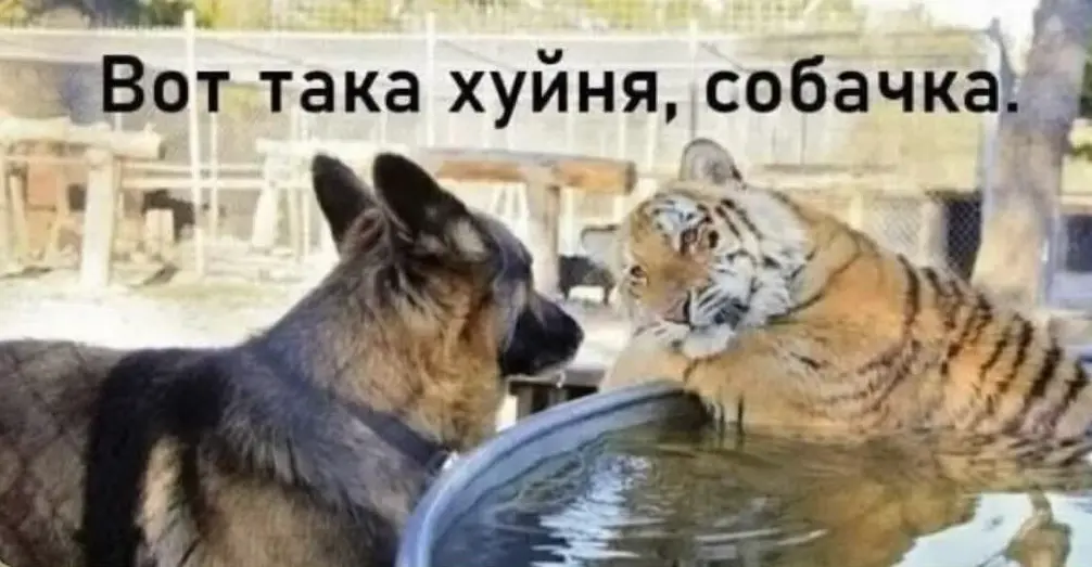 Три даты увольнения, ноль увольнений: я в декрете, работодатель в ликвидации(КЛЮЧАВТО), мои запросы в игноре | Сетка — социальная сеть от hh.ru
