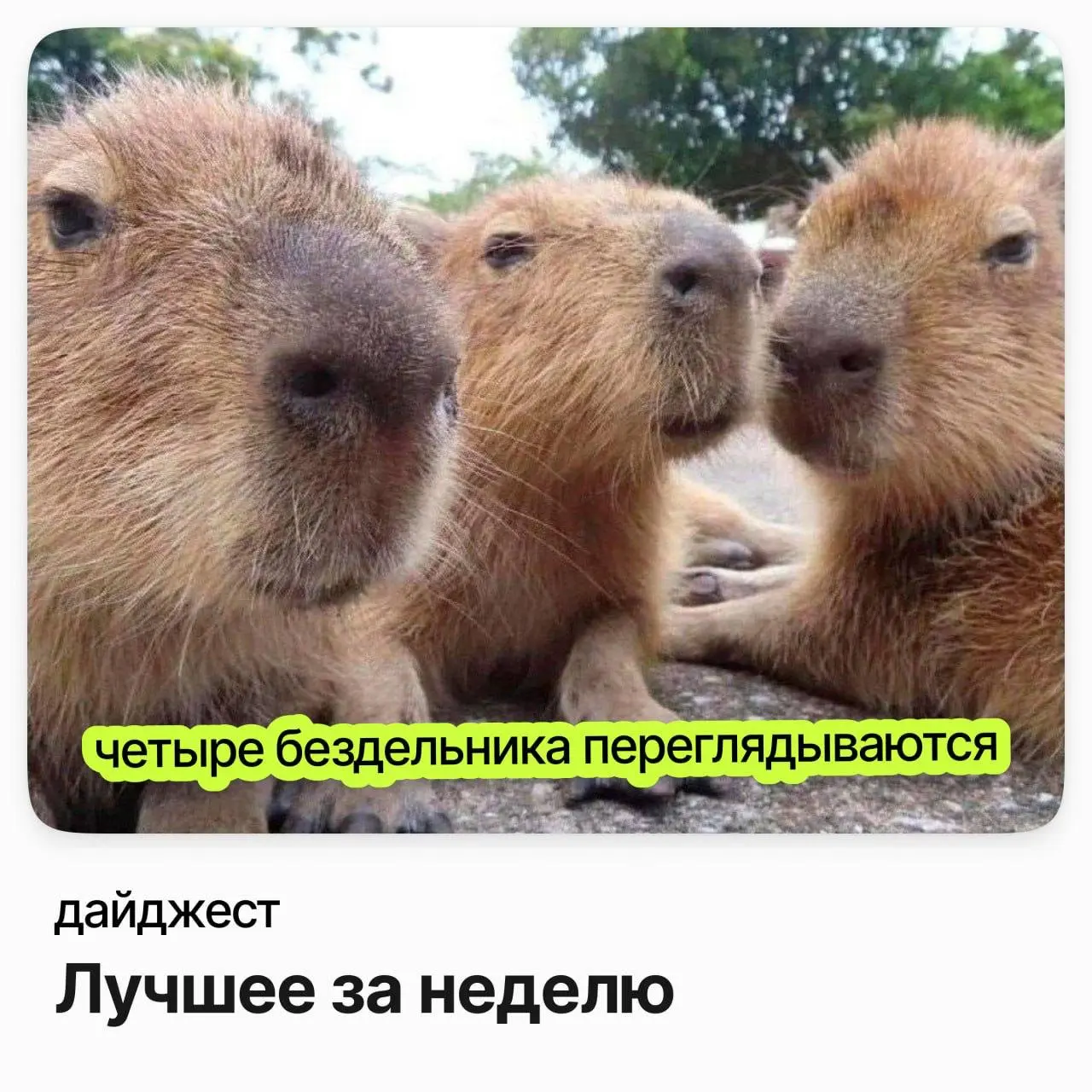 💼💼💼Лучшее за неделю
Ведущий системный аналитик (ПГС) / РТЛабс
Зарплата: от 374 000 ₽ /на руки
Подробнее
Старший аналитик по персоналу / HAIER
Зарплата: от 350 000 ₽ /на руки
Подробнее
Technical Produc... | Сетка — социальная сеть от hh.ru