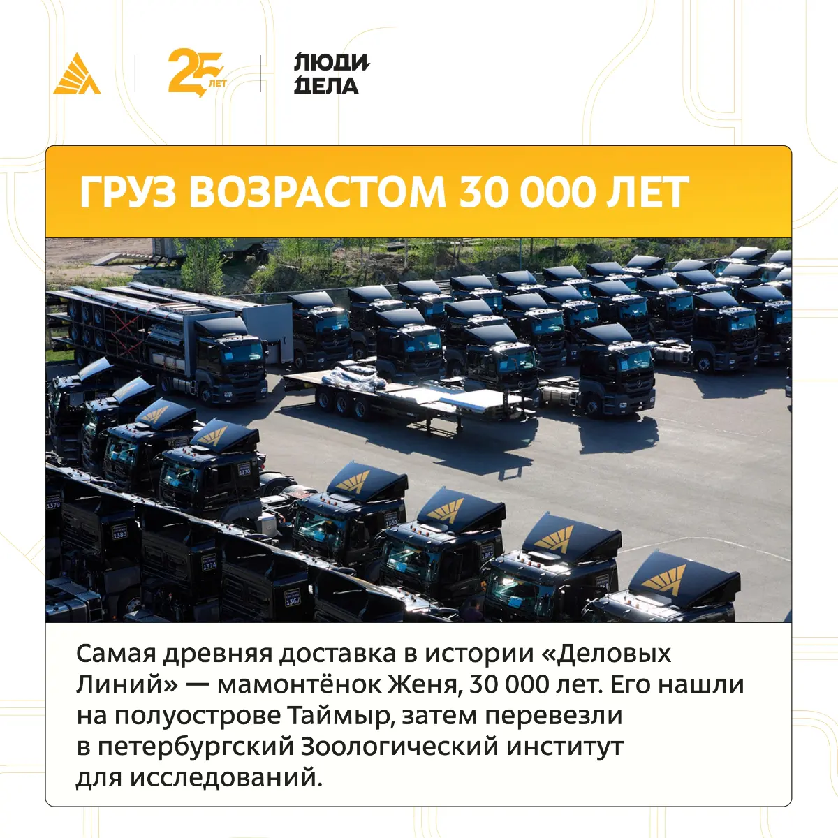 Логистика — это ведь не только паллеты с товарами и стандартные маршруты | Сетка — социальная сеть от hh.ru