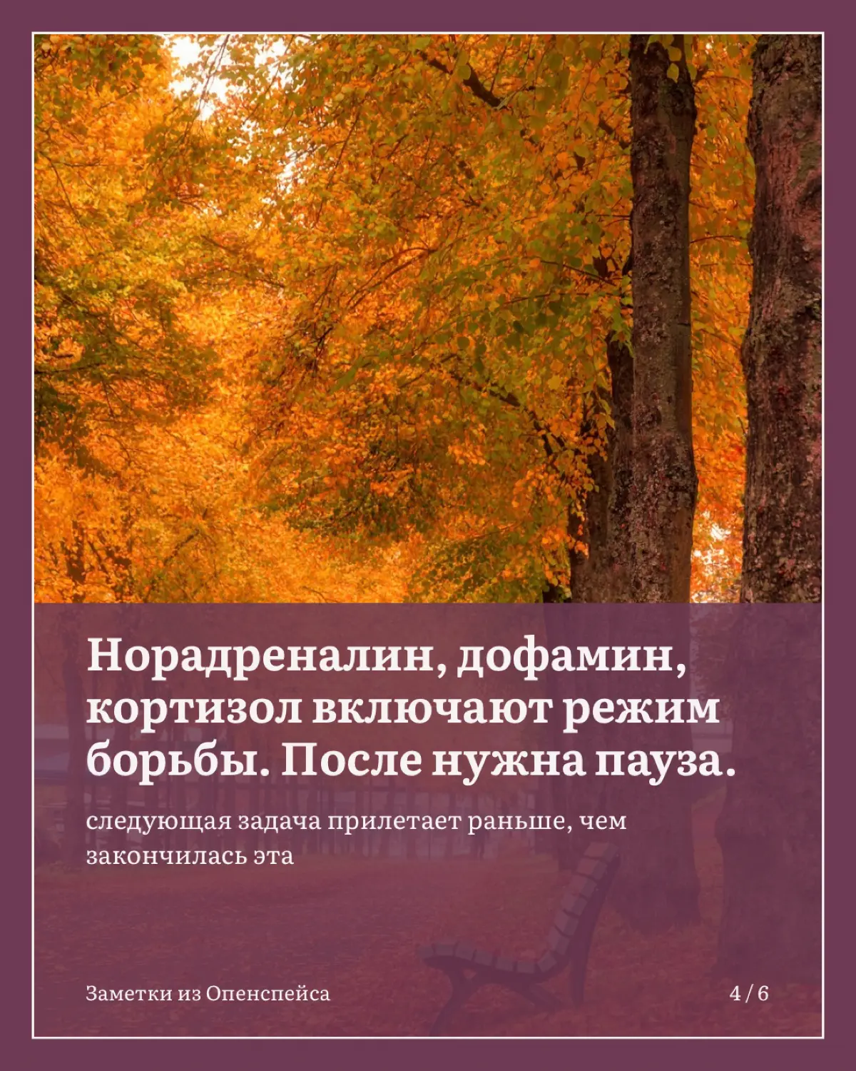 Почему мы работаем до ночи и не можем остановиться | Сетка — социальная сеть от hh.ru