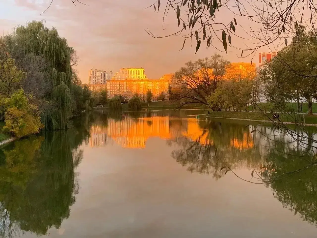 Красивая осень)
© фото by моей замечательной родственницы. Талантище! ❤️ | Сетка — социальная сеть от hh.ru