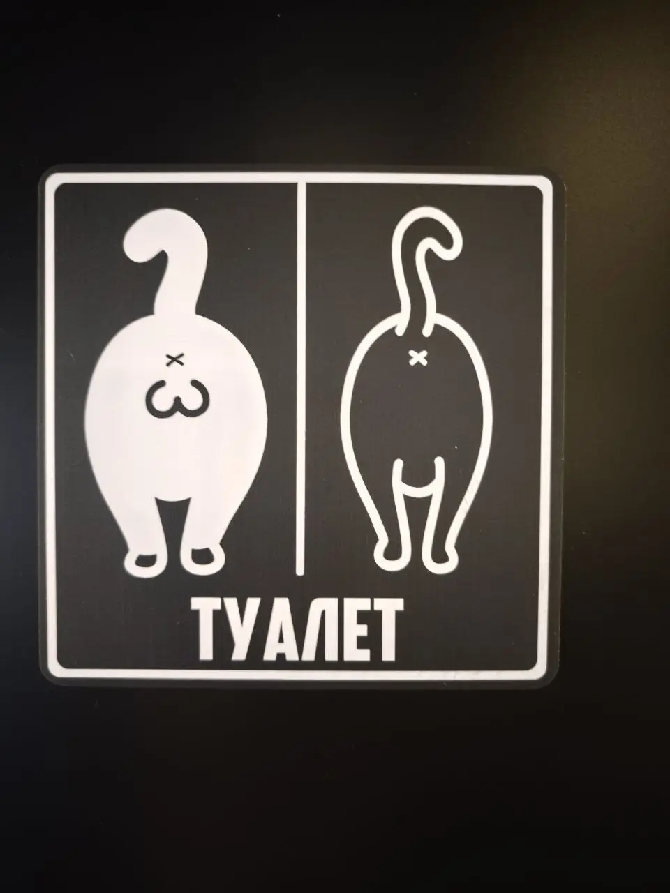 Котики в Геленджике
Вот такой домик сделали для забавного кота рядом с пабом в Геленджике, где мы были с любимой подругой Леной
#Отдых #Геленджик | Сетка — социальная сеть от hh.ru