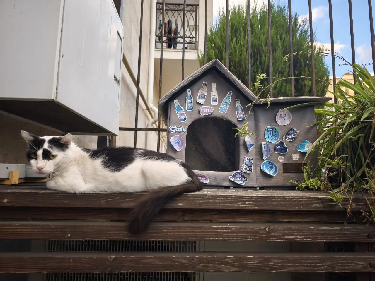 Котики в Геленджике
Вот такой домик сделали для забавного кота рядом с пабом в Геленджике, где мы были с любимой подругой Леной
#Отдых #Геленджик | Сетка — социальная сеть от hh.ru