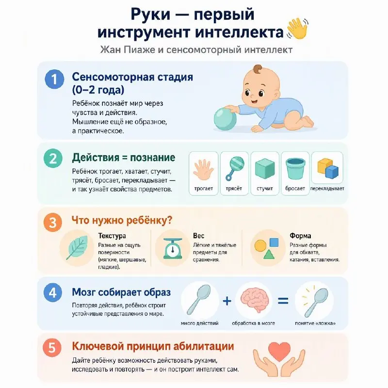 РУКИ - ПЕРВЫЙ ИНСТРУМЕНТ ИНТЕЛЛЕКТА
Жан Пиаже придавал огромное значение движениям рук у младенцев. Он считал, что хватание - это не просто моторный навык, а фундамент познания мира | Сетка — социальная сеть от hh.ru