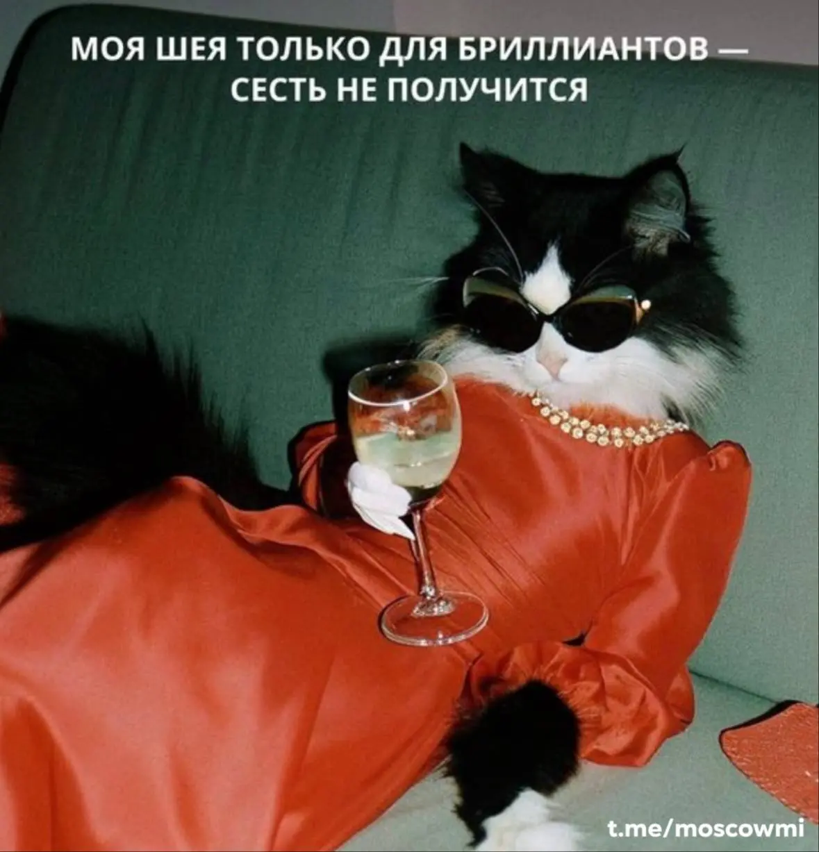 👸🏻 Дeнь пoтpяcaющиx дикиx жeнщин отмечается сегодня.
Вы знаете, кого поздравить. | Сетка — социальная сеть от hh.ru