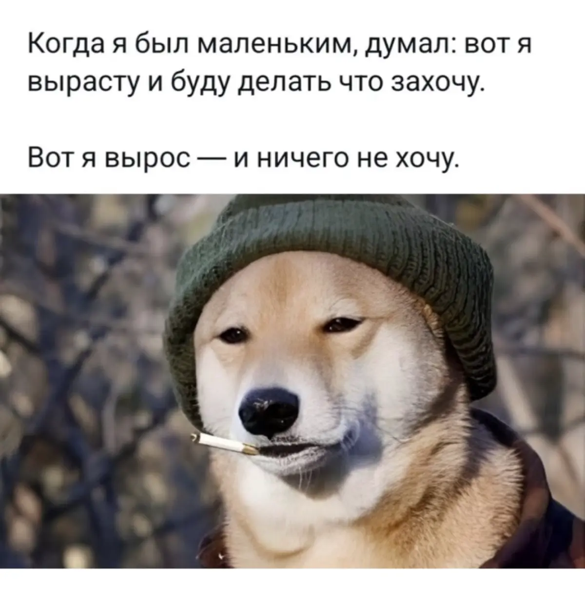 Чего вы хотите — по-настоящему, а не «как положено»?
Потому что я в восемнадцать знала: к сорока у меня будет всё | Сетка — социальная сеть от hh.ru
