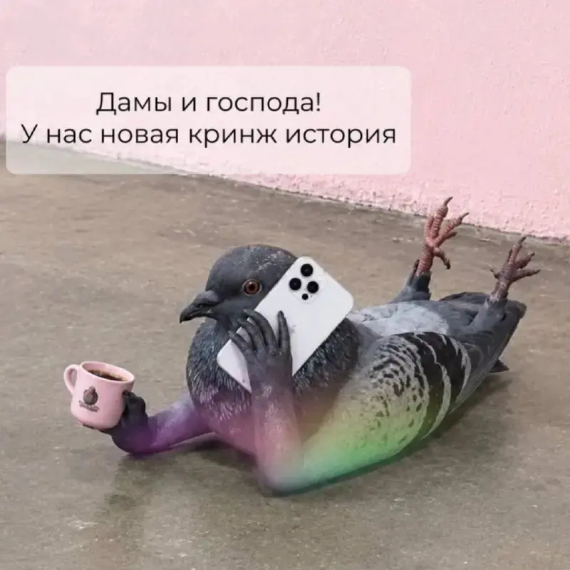 В Москве нет работы? Шутите? | Сетка — социальная сеть от hh.ru