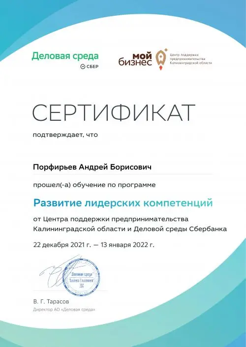 Андрей Порфирьев