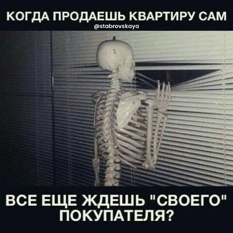 Клиент уверяет, что продаст сам. Эта картинка будет востребована как никогда😂
#риелтор #сммвнедвижке #недвижимость #юмор | Сетка — социальная сеть от hh.ru
