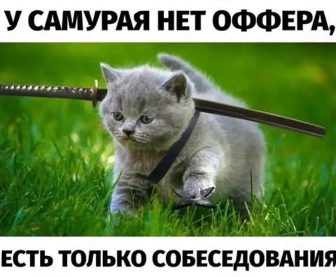 Добавлю эту картинку в резюме 😄 | Сетка — социальная сеть от hh.ru