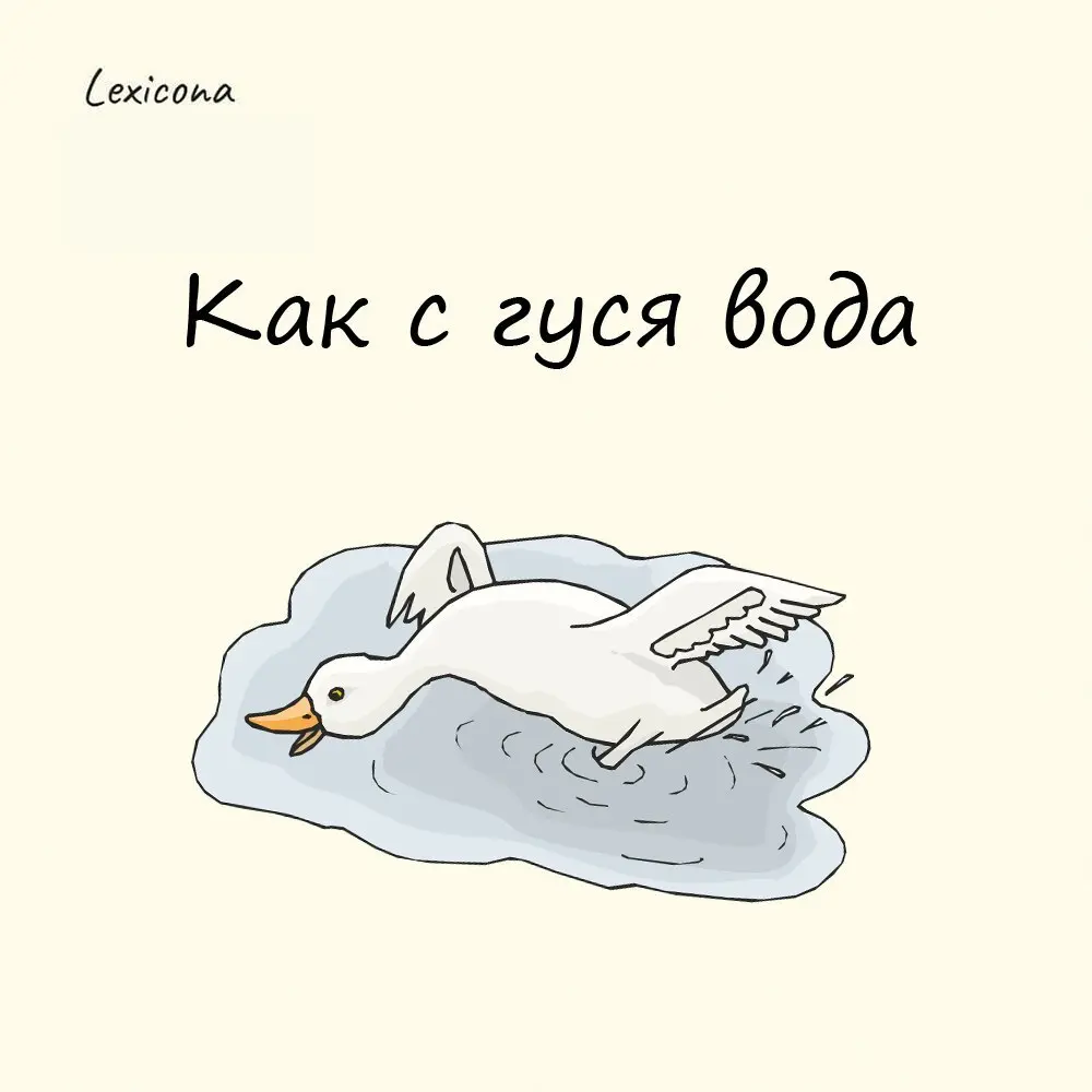 Как с гуся вода
В далёком прошлом мать, купая своего ребёнка, приговаривала: «С гуся вода, а с нашего Петеньки – худоба», имея ввиду болезнь | Сетка — социальная сеть от hh.ru