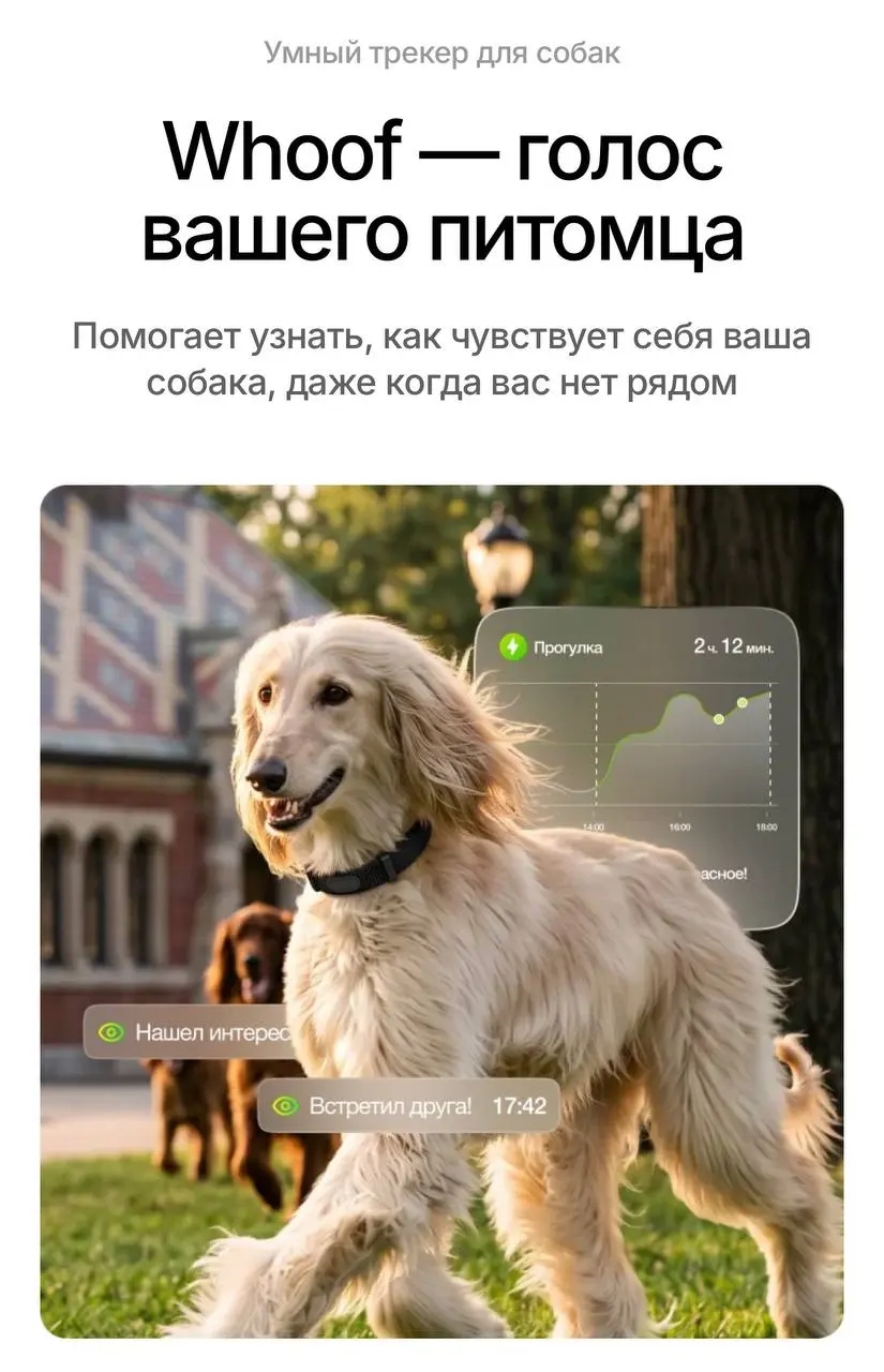 Whoof для питомцев aka Вввввуф! 🐶
09.09 официально стартовали продажи Whoof, био-трекера для питомцев
Это сделали ребята из России | Сетка — социальная сеть от hh.ru