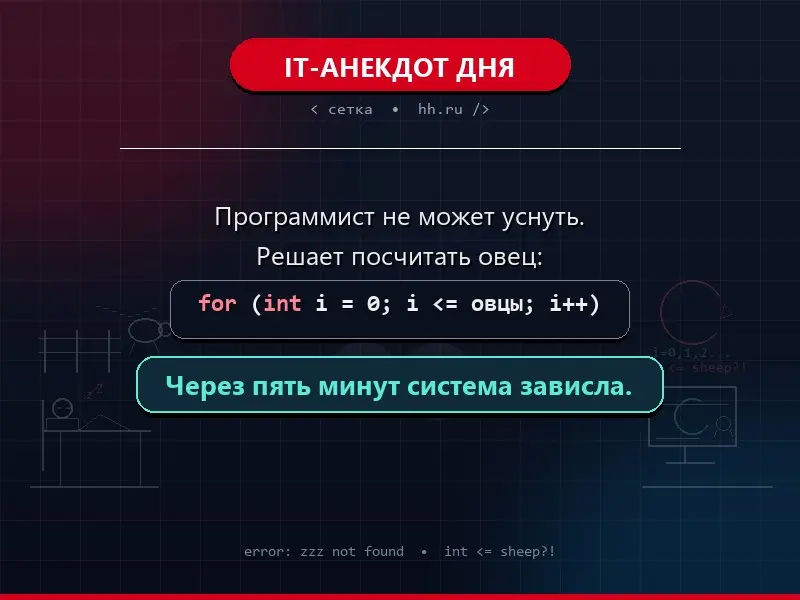 IT-АНЕКДОТ ДНЯ | Сетка — социальная сеть от hh.ru