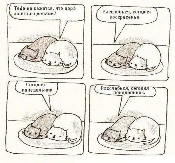 Просто расслабься 😂
БЛОГ В ТГ / БЛОГ В MAX
#Юмор #Коты
В этом посте были ссылки, но мы их удалили по правилам Сетки | Сетка — социальная сеть от hh.ru
