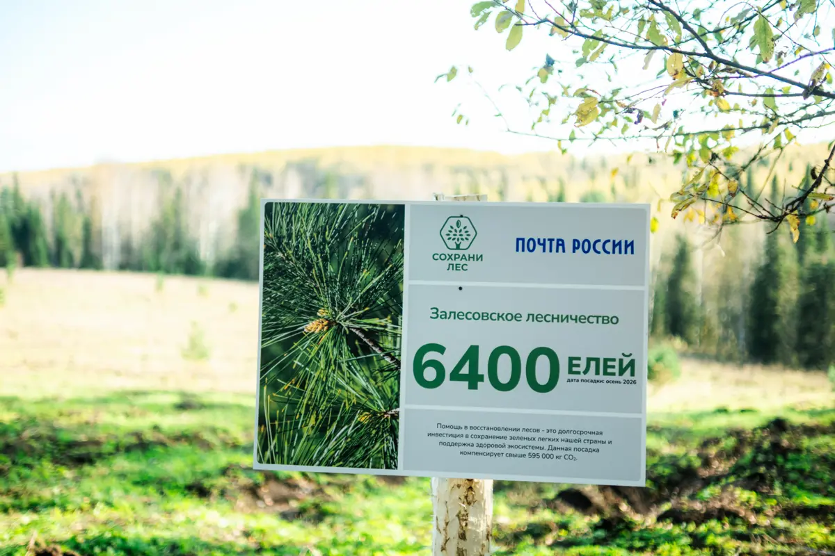 🩵💚Корпоративные волонтёры и сотрудники УФПС Алтайского края АО "Почта России" совместно с волонтерами Победы приняли участие в экологической акции "Сохрани лес" | Сетка — социальная сеть от hh.ru