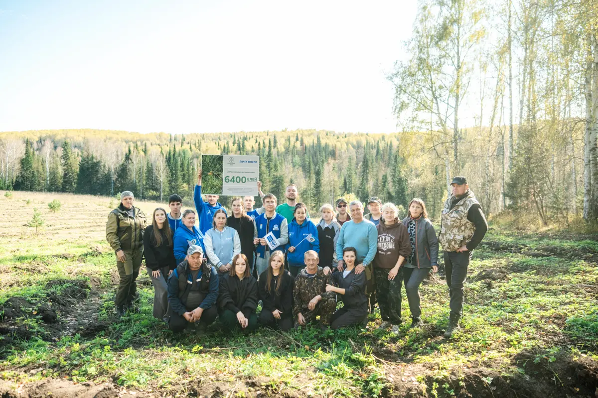 🩵💚Корпоративные волонтёры и сотрудники УФПС Алтайского края АО "Почта России" совместно с волонтерами Победы приняли участие в экологической акции "Сохрани лес" | Сетка — социальная сеть от hh.ru