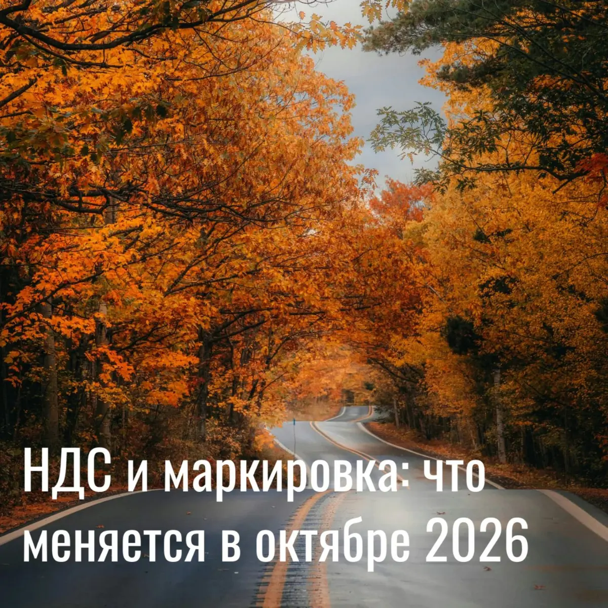🧷НДС и маркировка: что меняется в октябре 2026 | Сетка — социальная сеть от hh.ru