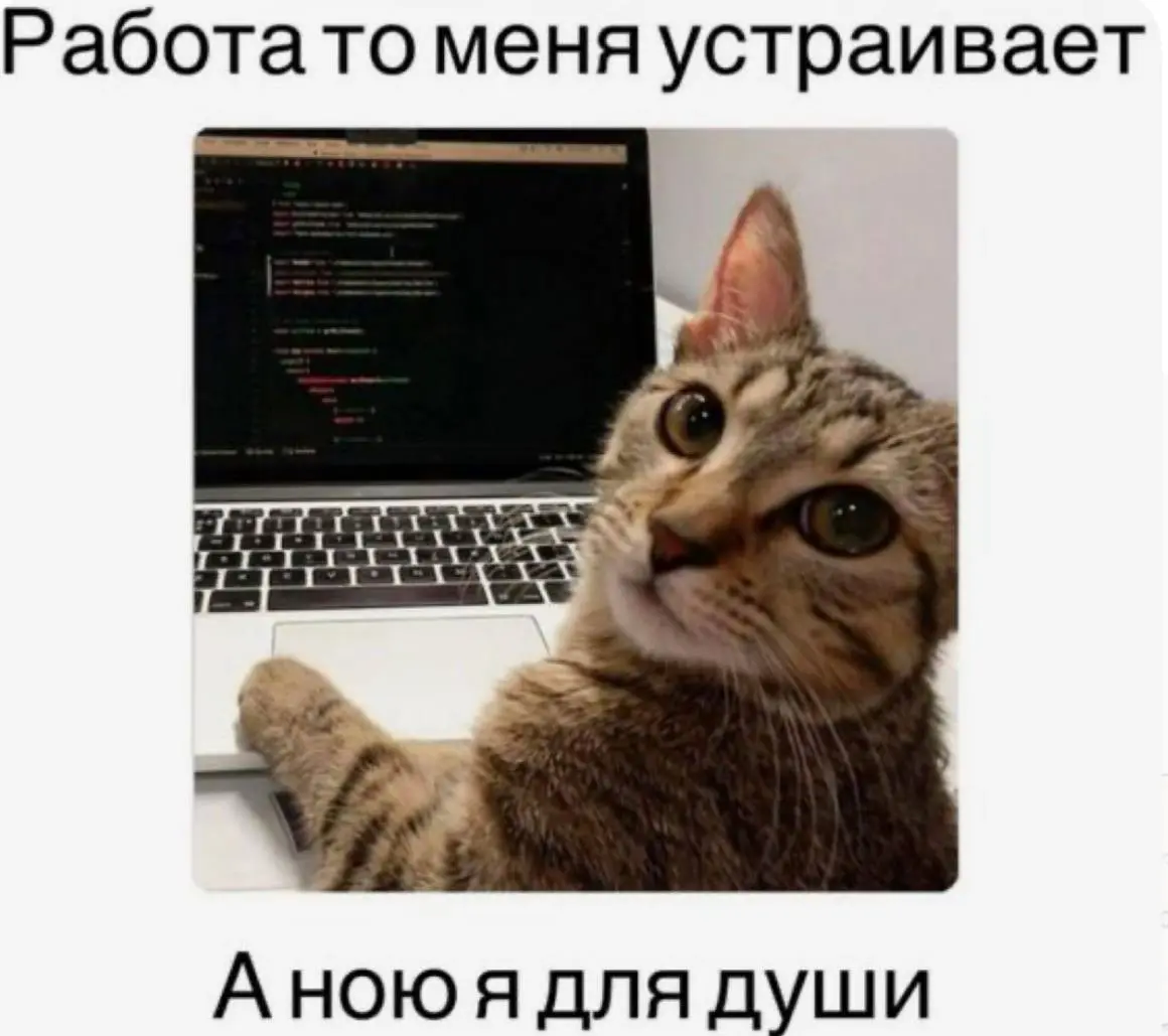 Зачастую честный взгляд на происходящее снимает очень много проблем 😉
Легкого понедельника и продуктивной рабочей недели, дорогие ❤️ | Сетка — социальная сеть от hh.ru