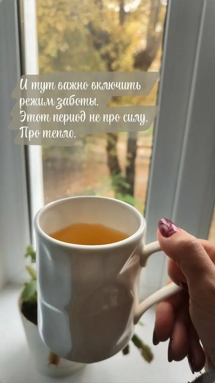 ☔️Ветер, сырость, серое небо. Резкие перепады погоды навевают грустные настроения. Отсутствие отопления, снег с дождём заставляют переходить организм в режим выживания.
Вы всё это знаете без меня | Сетка — социальная сеть от hh.ru