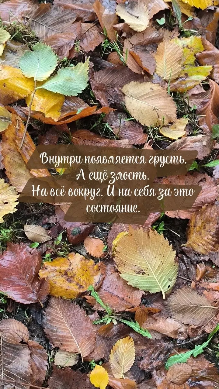 ☔️Ветер, сырость, серое небо. Резкие перепады погоды навевают грустные настроения. Отсутствие отопления, снег с дождём заставляют переходить организм в режим выживания.
Вы всё это знаете без меня | Сетка — социальная сеть от hh.ru