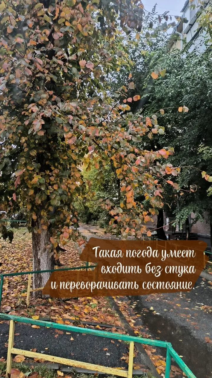 ☔️Ветер, сырость, серое небо. Резкие перепады погоды навевают грустные настроения. Отсутствие отопления, снег с дождём заставляют переходить организм в режим выживания.
Вы всё это знаете без меня | Сетка — социальная сеть от hh.ru