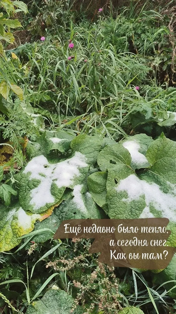 ☔️Ветер, сырость, серое небо. Резкие перепады погоды навевают грустные настроения. Отсутствие отопления, снег с дождём заставляют переходить организм в режим выживания.
Вы всё это знаете без меня | Сетка — социальная сеть от hh.ru