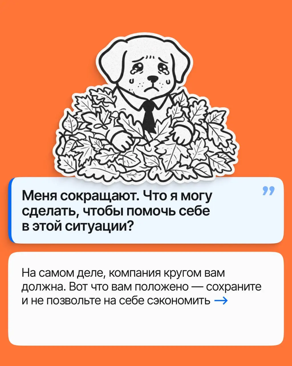 Сокращение — это очень больно. Хочется уйти и хлопнуть дверью, но погодите: кое-что с этой компании ещё можно стрясти. Разбираем в карточках, что именно вам положено при сокращении | Сетка — социальная сеть от hh.ru