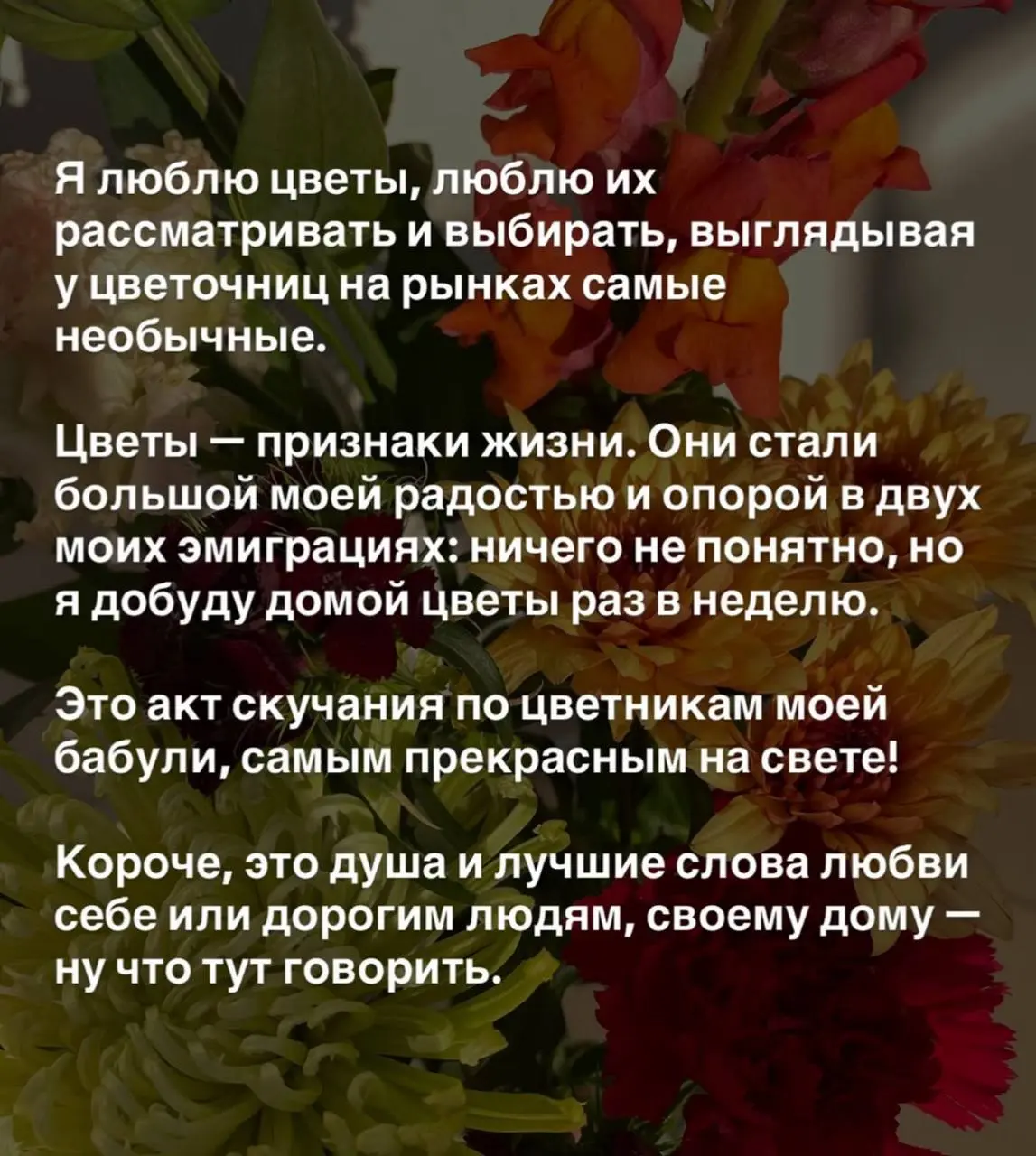 Белградские, пост для вас!
Хочется рассказать вам про жизнь мою здесь, важные ее части (и кстати вполне себе коллабные!!!)
💛 Мы заколлабилась с моей подругой, и это коллаба мечты, не меньше — и заканч... | Сетка — социальная сеть от hh.ru