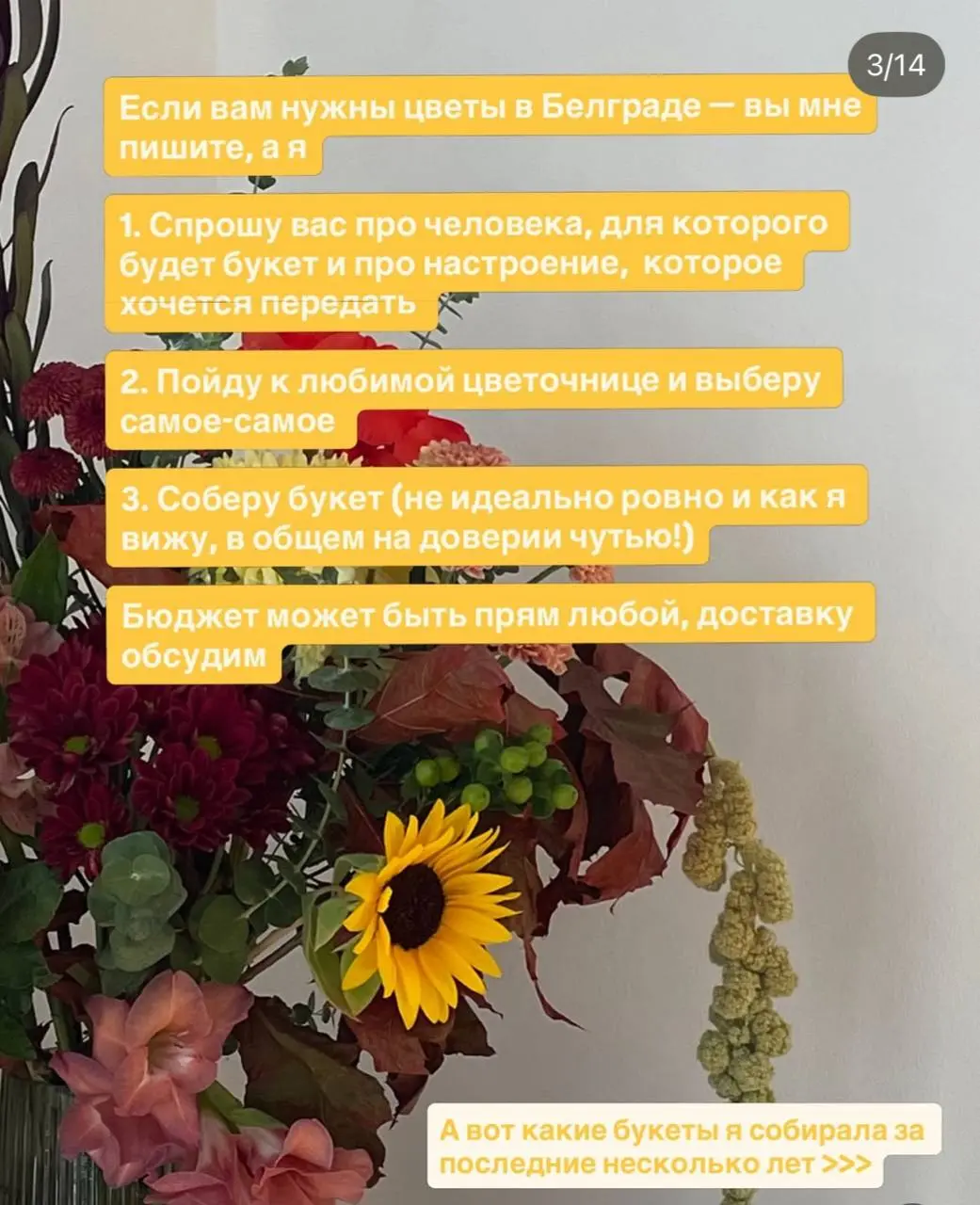 Белградские, пост для вас!
Хочется рассказать вам про жизнь мою здесь, важные ее части (и кстати вполне себе коллабные!!!)
💛 Мы заколлабилась с моей подругой, и это коллаба мечты, не меньше — и заканч... | Сетка — социальная сеть от hh.ru