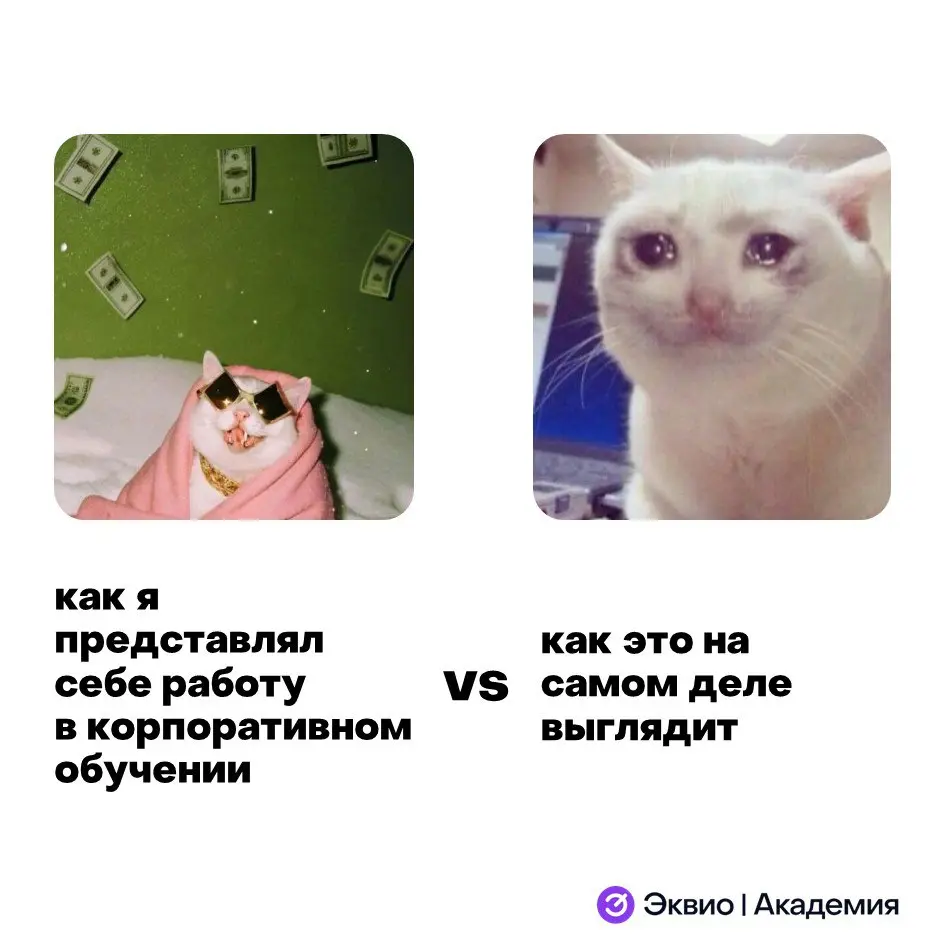 Я люблю свою работу в T&D, но придумывать образовательные мемы стало просто вершиной моей карьеры 😁
#мем #мемыhr #hr #обучение | Сетка — социальная сеть от hh.ru