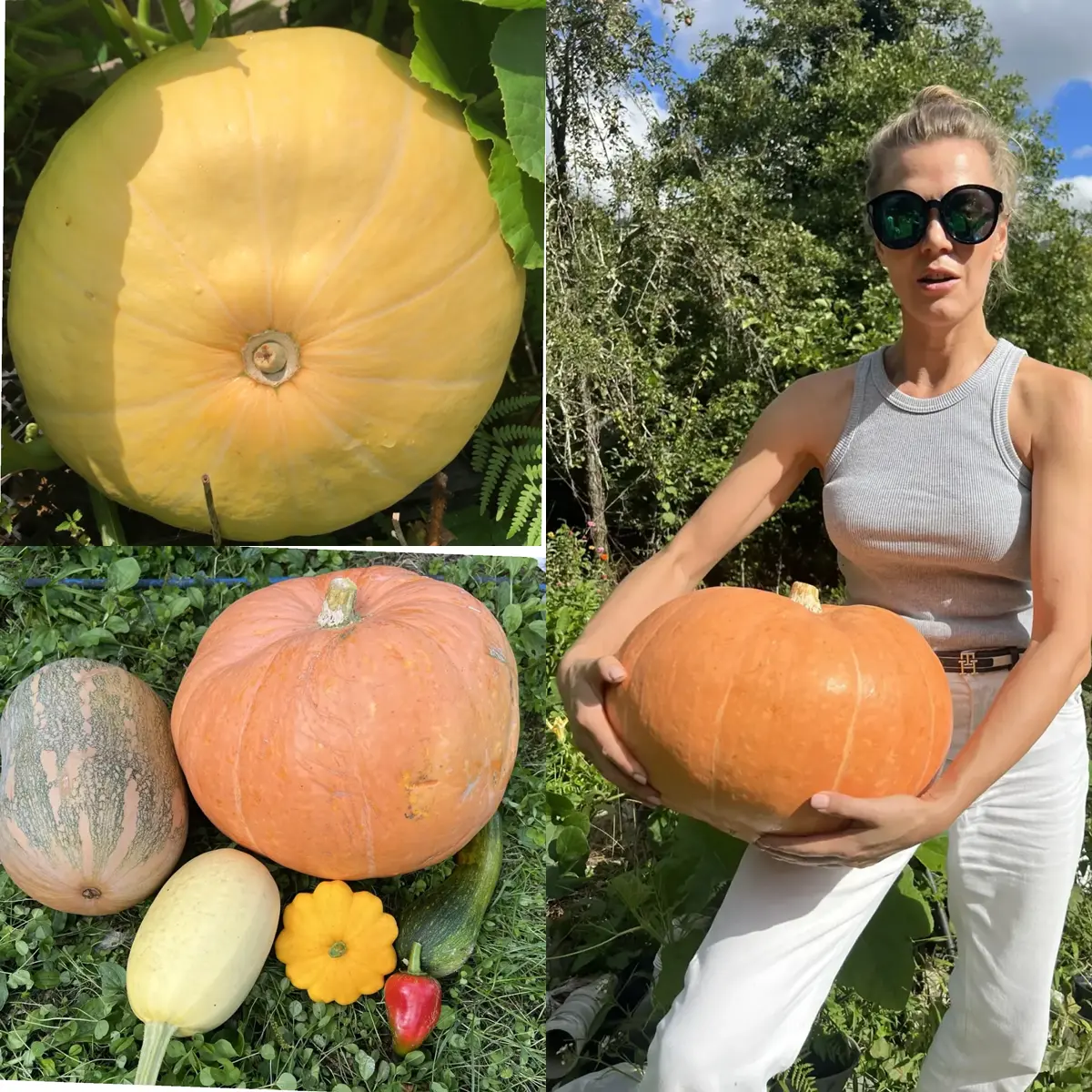 Осень. Тыквы убраны. Пора делать ретро 🎃 | Сетка — социальная сеть от hh.ru