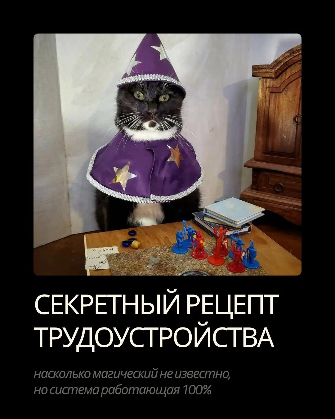 Я, если честно, в шоке от того, насколько один и тот же контент по-разному воспринимается на разных платформах 😂😅
В Telegram под моим последним постом — тёплые комментарии, сердечки, поддержка, «Натал... | Сетка — социальная сеть от hh.ru