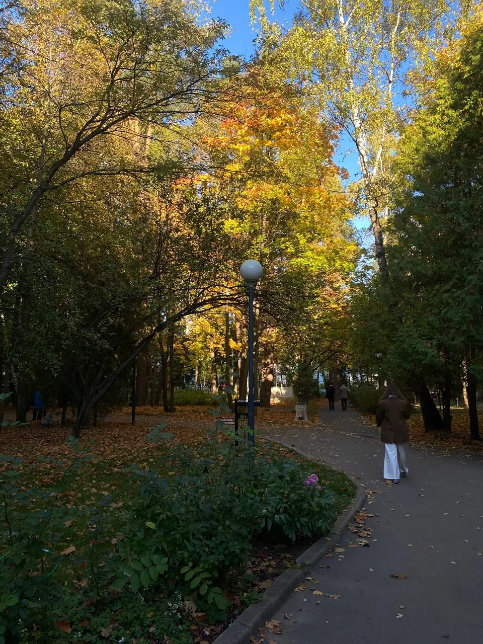 ☀️ про яркость жизни
— to be honest, забыла про пост сегодня, поэтому он будет максимально life 🤪
На днях я стала очищать свои избранные в телеге (тут есть записи с 22-го года), и наткнулась на пример... | Сетка — социальная сеть от hh.ru