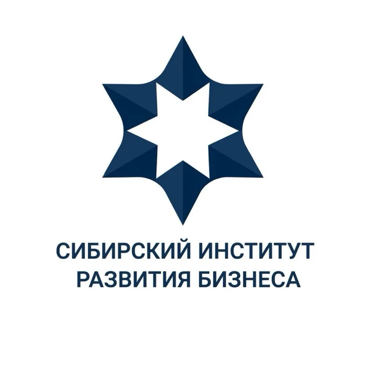 Сибирский институт развития бизнеса | СИРБ