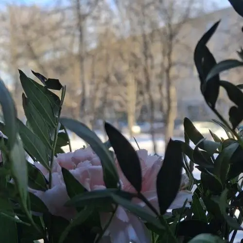 Анастасия Кононенко 