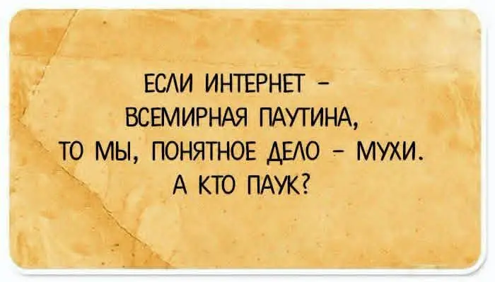 🕷🕸 | Сетка — социальная сеть от hh.ru