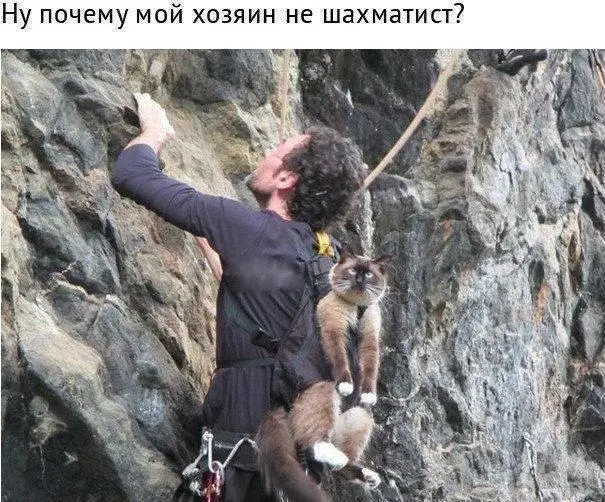 Хозяев не выбирают 😂
БЛОГ В ТГ / БЛОГ В MAX
#Юмор #Коты
В этом посте были ссылки, но мы их удалили по правилам Сетки | Сетка — социальная сеть от hh.ru