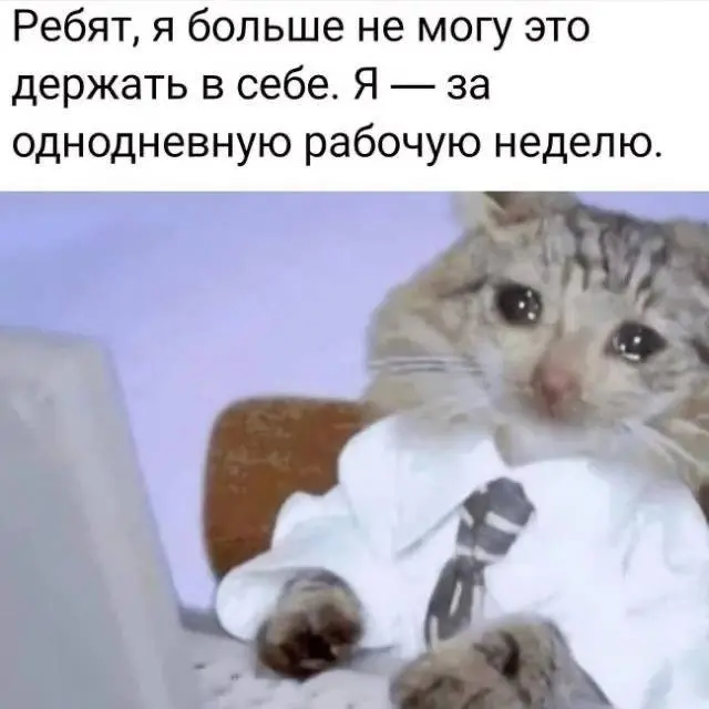 А как вы относитесь к нововведениям с 4-дневной рабочей неделей? Вы бы хотели такой график?😊 | Сетка — социальная сеть от hh.ru