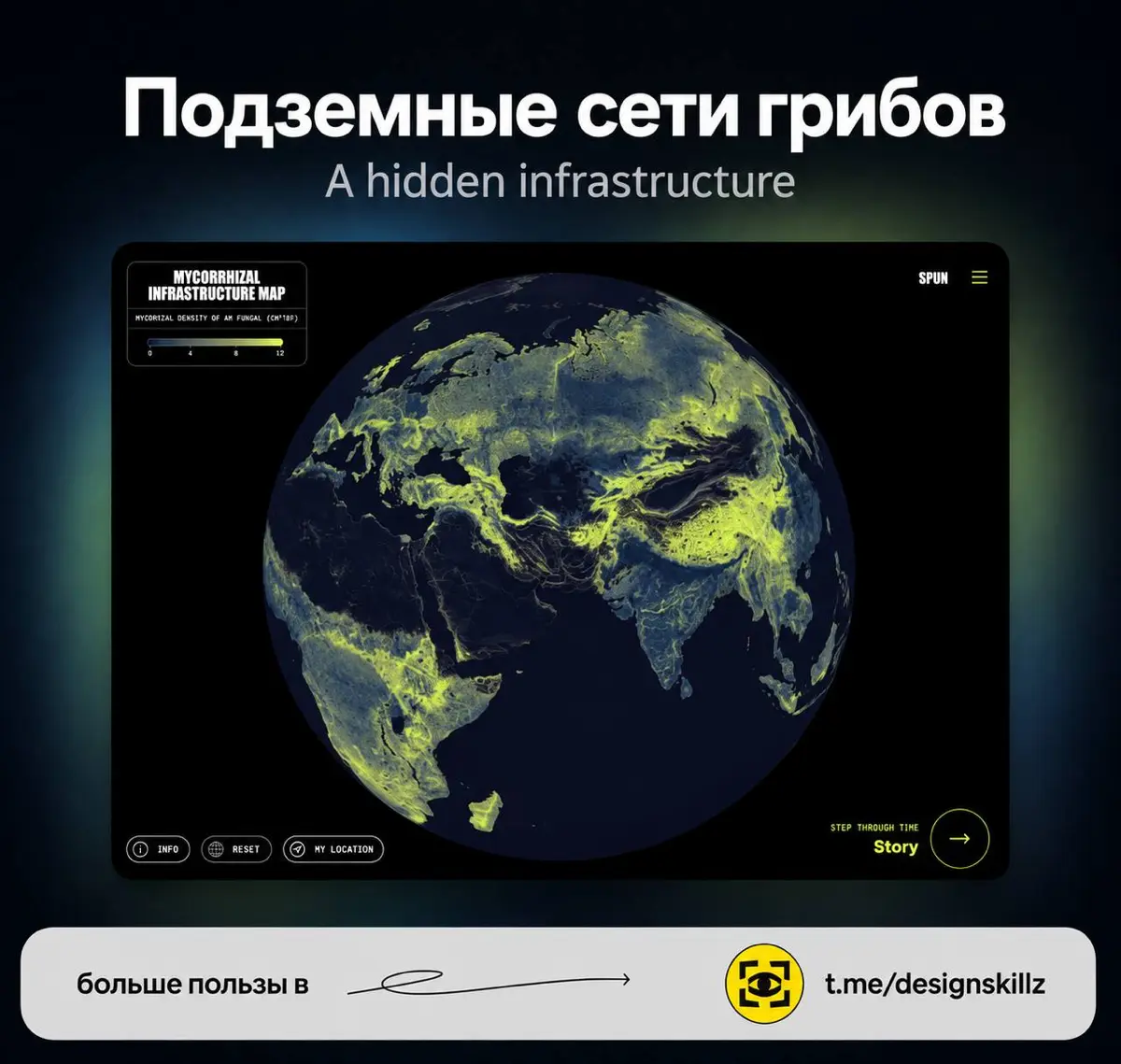 3D-карта подземных грибных сетей | Сетка — социальная сеть от hh.ru