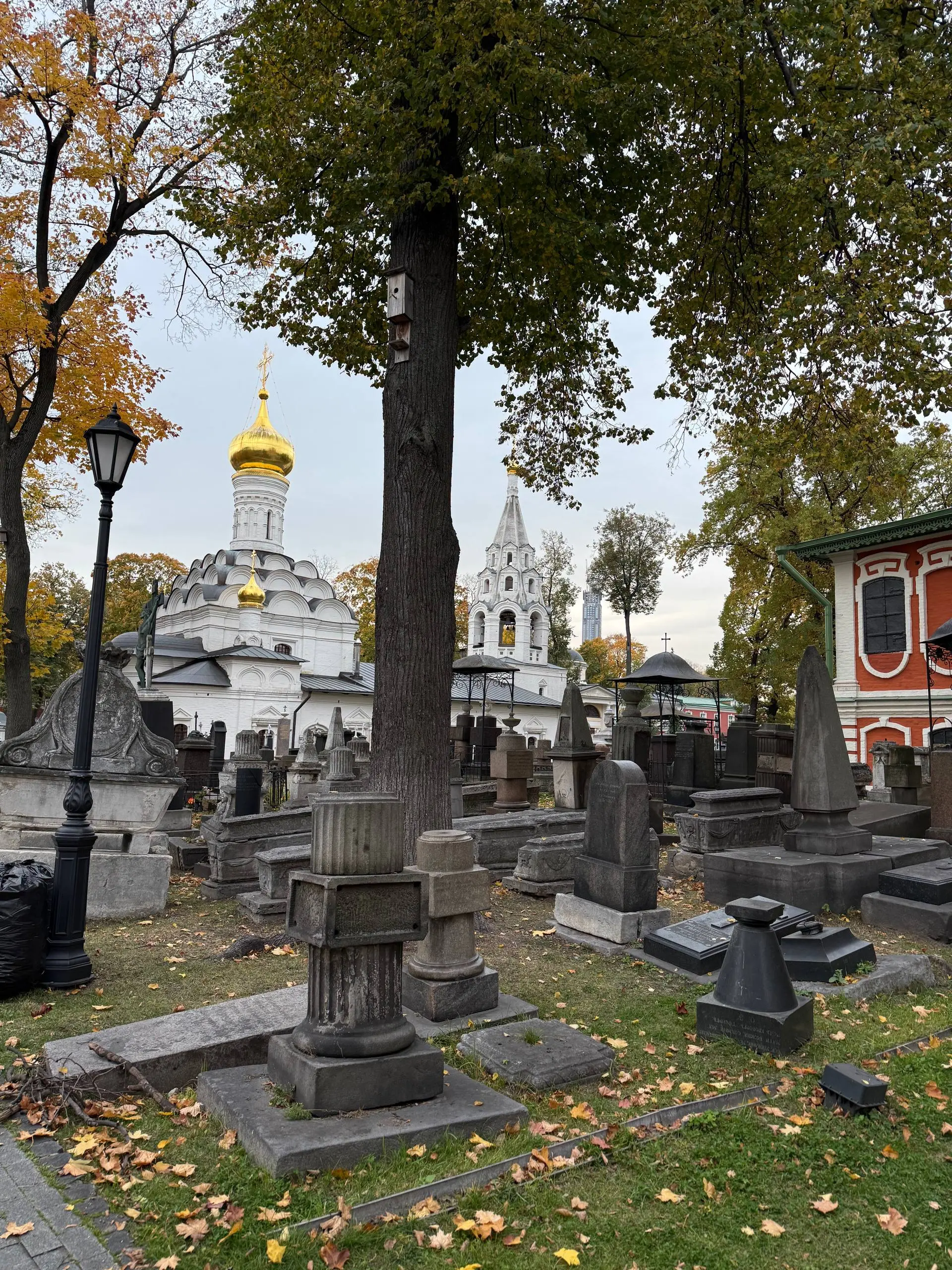 Продолжаем с Сашей по выходным изучать наш новый район Москвы.
Побывали в Донском монастыре — его при активной реконструкции все равно можно посетить и это так красиво, фото не передает всей атмосферы | Сетка — социальная сеть от hh.ru