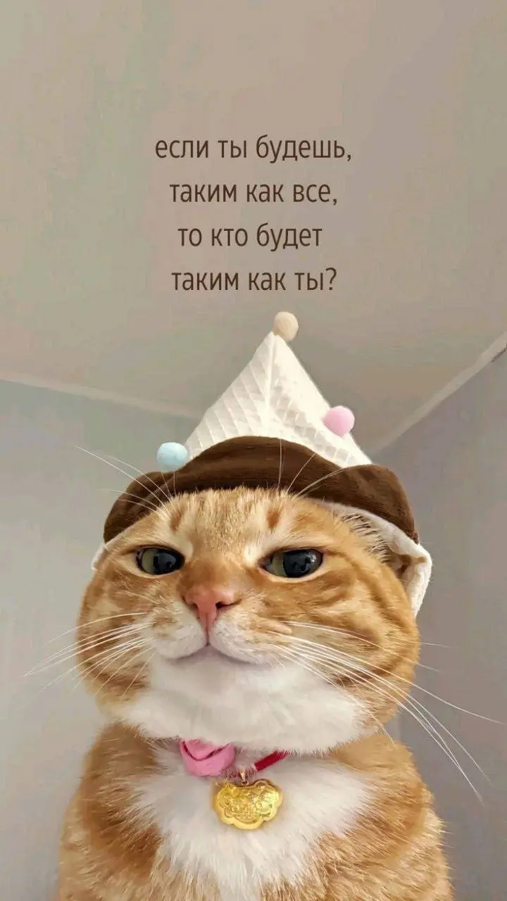 Друзья, всем хай 🖐
Я много раз говорила и буду повторять: успех проекта - в системе.
❗️Но есть условие, без которого даже самая идеальная система не вывезет | Сетка — социальная сеть от hh.ru