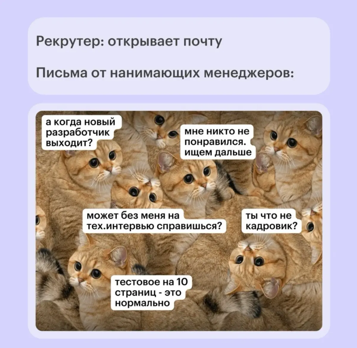 Утро рекрутера начинается не с кофе 😅 | Сетка — социальная сеть от hh.ru