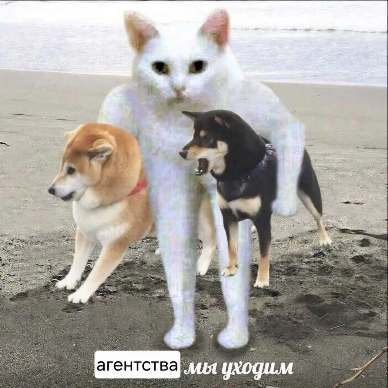 Когда вам НЕ нужно кадровое агентство? | Сетка — социальная сеть от hh.ru