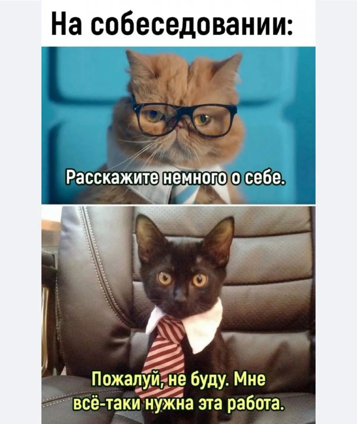 Краткое пособие о том, как пройти первый этап интервью 😀 | Сетка — социальная сеть от hh.ru