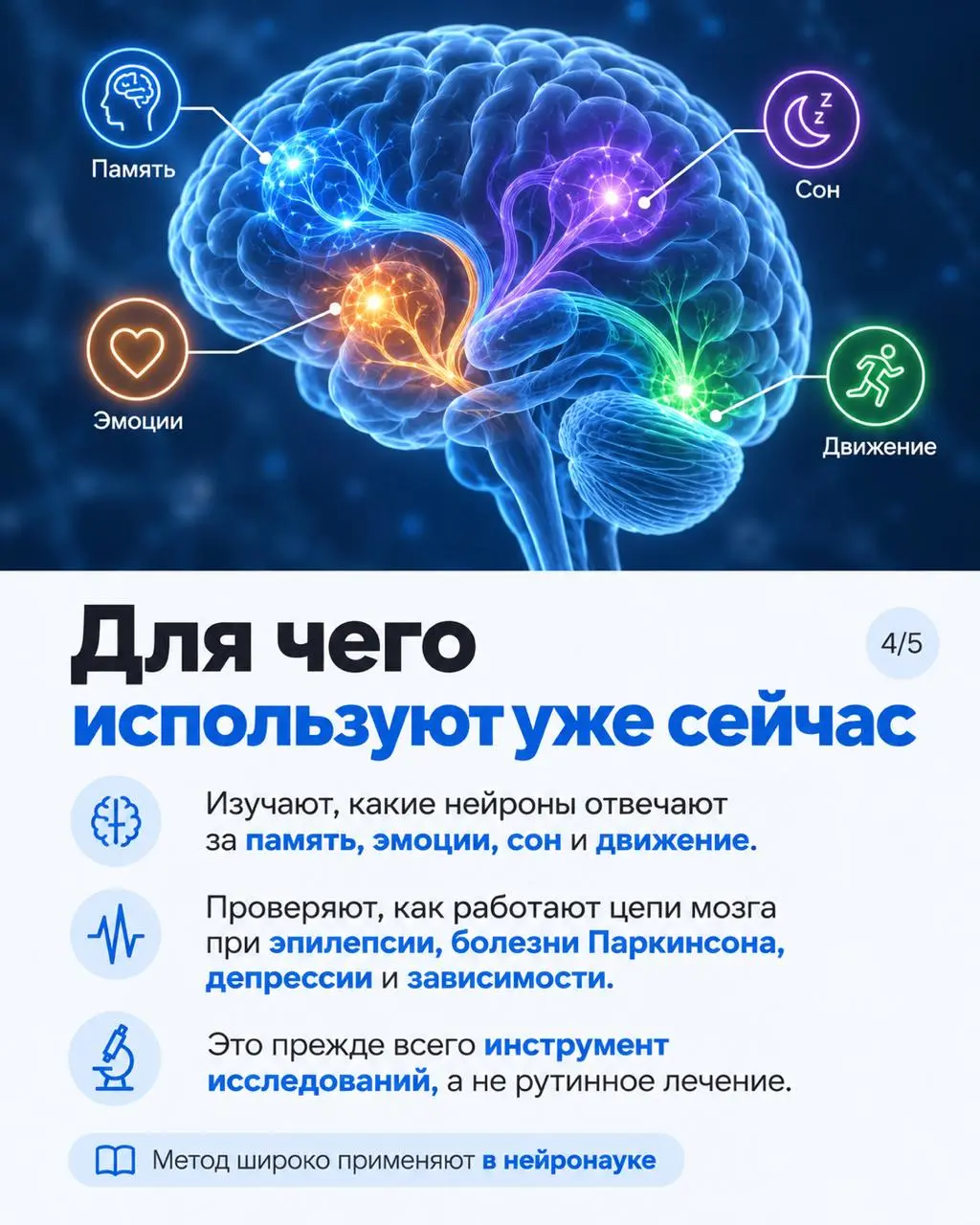 Вчера Нобелевскую премию по физиологии и медицине 2026 года присудили Карлу Дайссероту, Петеру Хегеманну и Георгу Нагелю — за открытия, связанные со светоуправляемыми ионными каналами и оптогенетикой | Сетка — социальная сеть от hh.ru