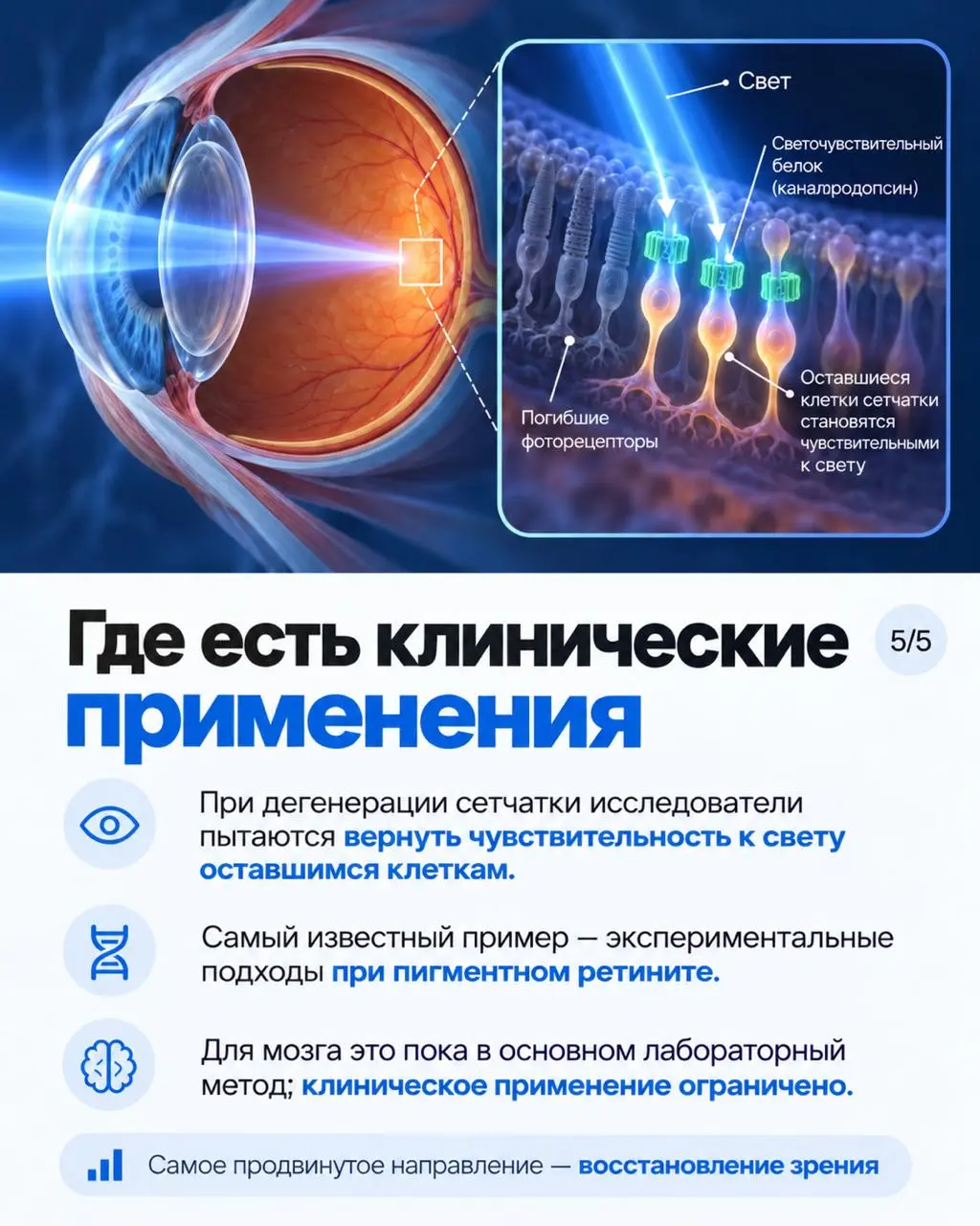 Вчера Нобелевскую премию по физиологии и медицине 2026 года присудили Карлу Дайссероту, Петеру Хегеманну и Георгу Нагелю — за открытия, связанные со светоуправляемыми ионными каналами и оптогенетикой | Сетка — социальная сеть от hh.ru